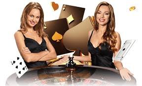 MDL979 VIP Baccarat Table Live ကစားနေသောမြင်ကွင်း